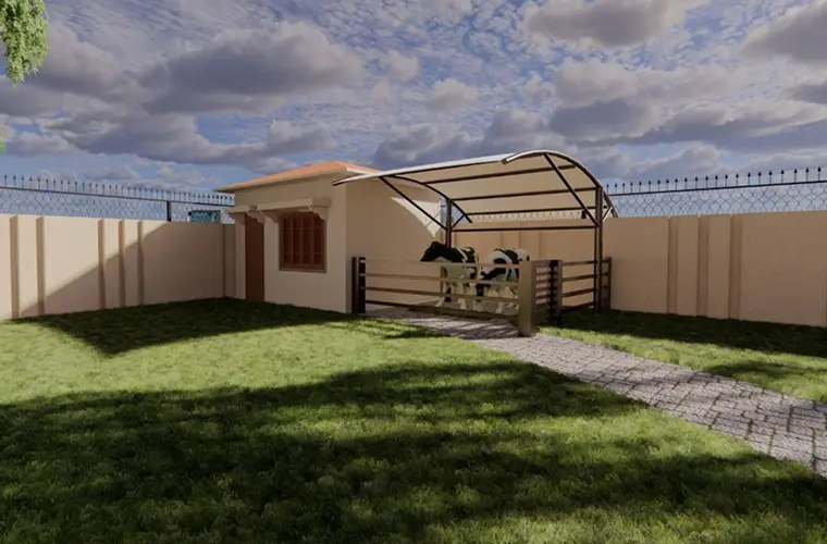 Cow Shed